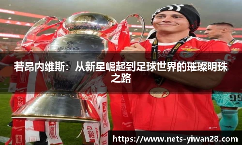 若昂内维斯：从新星崛起到足球世界的璀璨明珠之路
