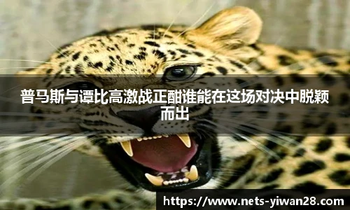 亿万28娱乐